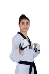 HAŞADO Taekwondo Elüstü Koruyucu Eldiven