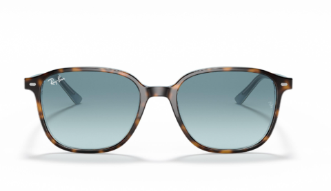 rayban RB 2193 13163M 53 güneş gözlüğü