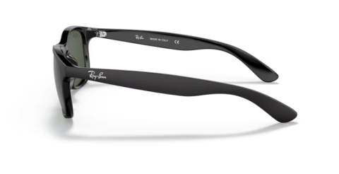 ray ban RB4202 606971 55 güneş gözlüğü