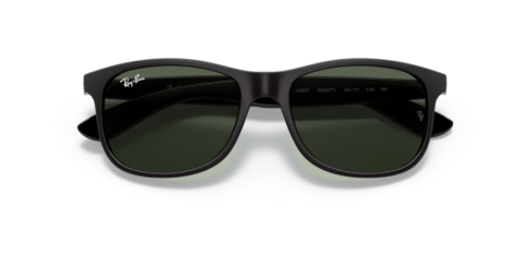 ray ban RB4202 606971 55 güneş gözlüğü