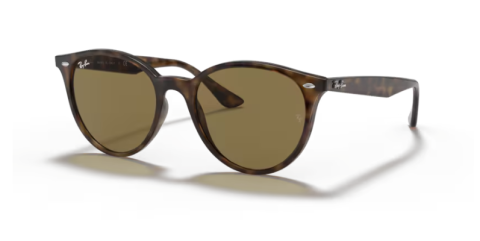 ray ban RB4305 710/73 53 güneş gözlüğü
