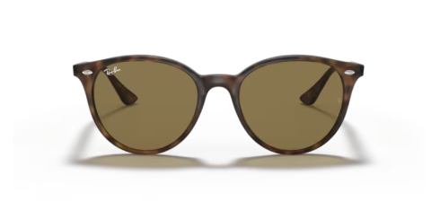 ray ban RB4305 710/73 53 güneş gözlüğü