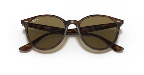 ray ban RB4305 710/73 53 güneş gözlüğü