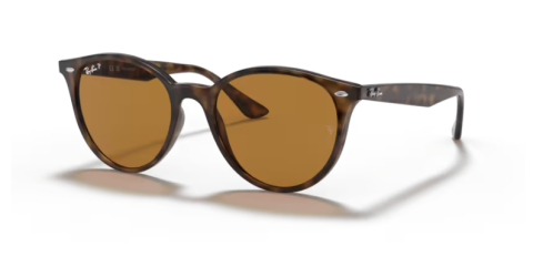 ray ban RB4305 710/83 53 güneş gözlüğü