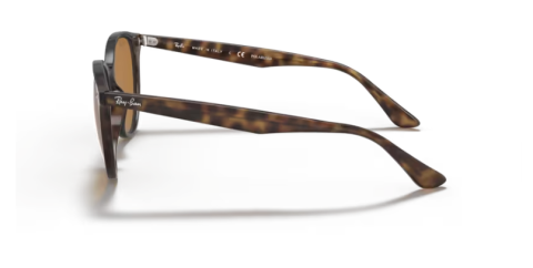 ray ban RB4305 710/83 53 güneş gözlüğü