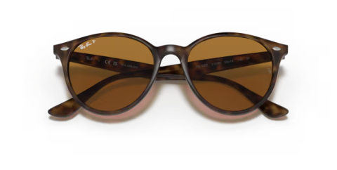 ray ban RB4305 710/83 53 güneş gözlüğü
