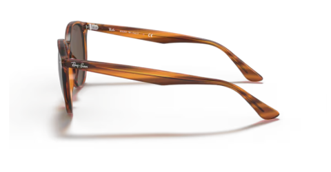 ray ban RB4305 820/73 53 güneş gözlüğü