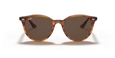 ray ban RB4305 820/73 53 güneş gözlüğü