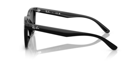 ray ban rb 4420 601/87 65 güneş gözlüğü