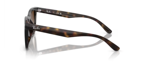 ray ban rb 4420 710/13 65 güneş gözlüğü