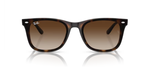 ray ban rb 4420 710/13 65 güneş gözlüğü