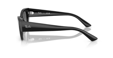 ray ban rb 4430 667711 52 güneş gözlüğü