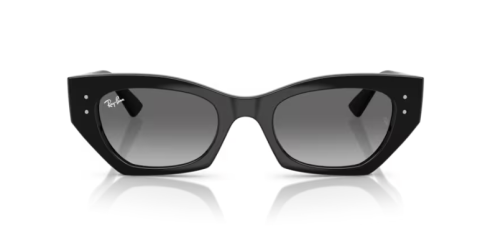 ray ban rb 4430 667711 52 güneş gözlüğü