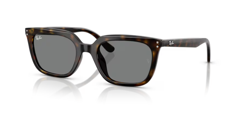 ray ban rb 4439D 710/87 54 güneş gözlüğü