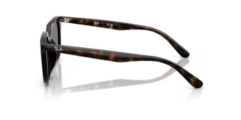 ray ban rb 4439D 710/87 54 güneş gözlüğü