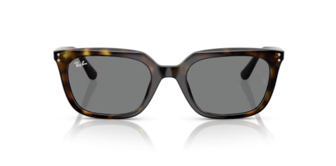 ray ban rb 4439D 710/87 54 güneş gözlüğü