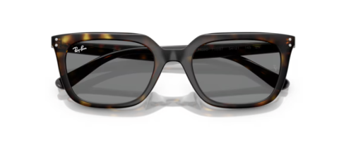 ray ban rb 4439D 710/87 54 güneş gözlüğü