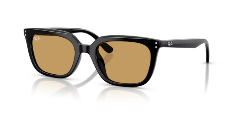 ray ban rb 4439D 901/73 54 güneş gözlüğü