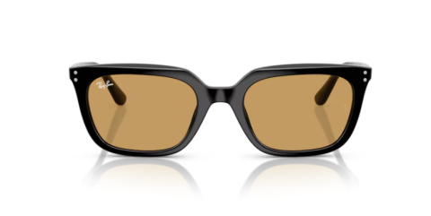 ray ban rb 4439D 901/73 54 güneş gözlüğü