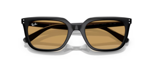 ray ban rb 4439D 901/73 54 güneş gözlüğü