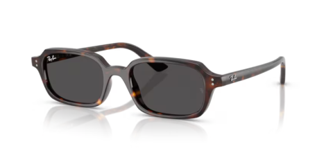 ray ban rb 4455 135987 52 güneş gözlüğü