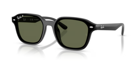 ray ban rb 4458D 601/9A 65 güneş gözlüğü