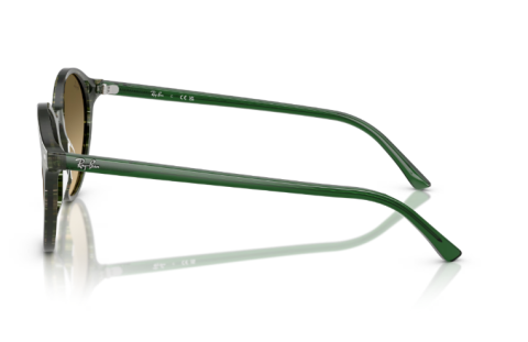 rayban RB2230 14210A 51 güneş gözlüğü