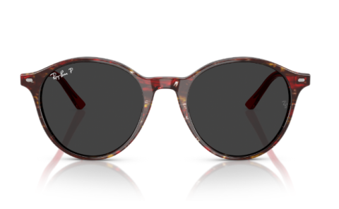 raybanRB 2230 141948 51 güneş gözlüğü