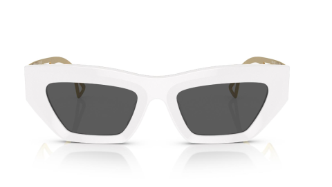 versace ve 4432U 401/87 güneş gözlüğü