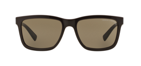 Armani Exchange Ax4045S 8086/73 Erkek Güneş Gözlüğü