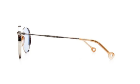 hally and son hs660 s02 erkek güneş gözlüğü