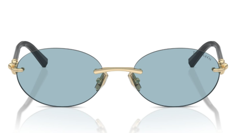 tiffany co 3104D 602180 56 güneş gözlüğü