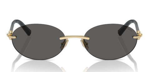 tiffany co 3104D 6216S4 56 güneş gözlüğü