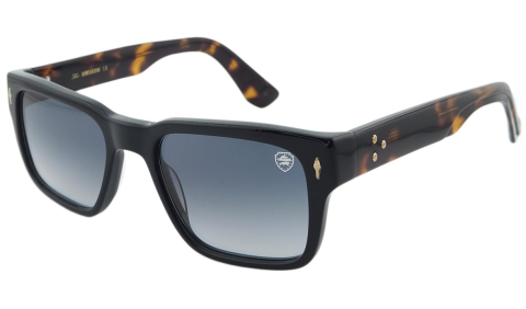 atos lombardini alg 2307 c02 güneş gözlüğü