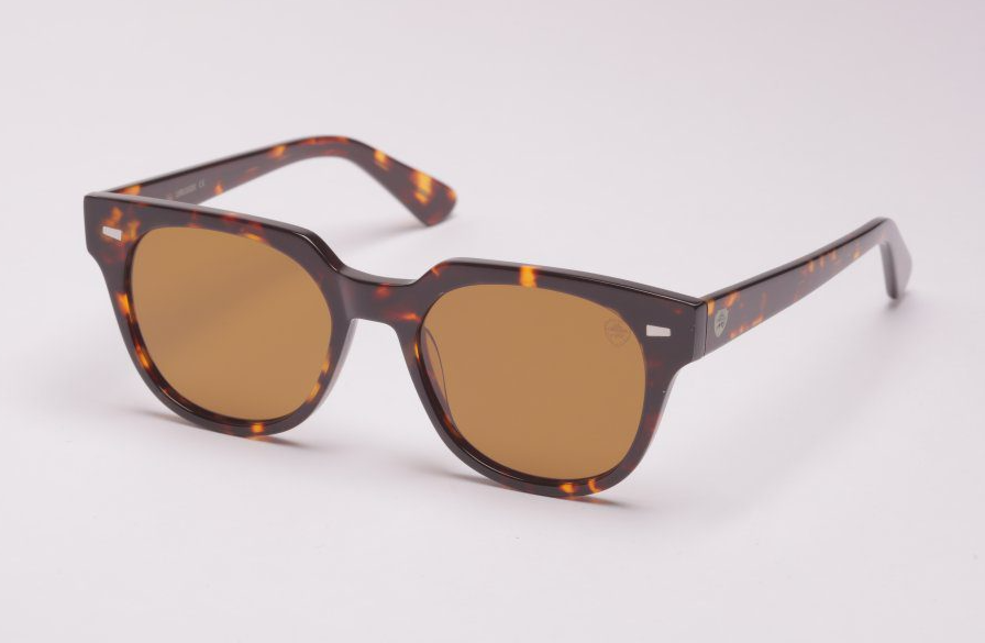 atos lombardini al 2233 c02 güneş gözlüğü