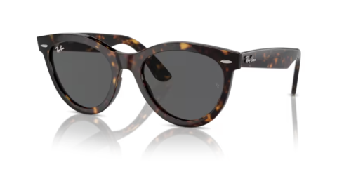 ray ban rb 2241 902/b1 51 güneş gözlüğü