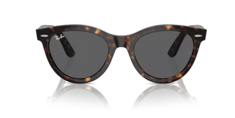 ray ban rb 2241 902/b1 51 güneş gözlüğü