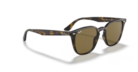 ray ban rb 4258 710/73 50 güneş gözlüğü