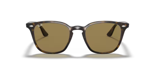 ray ban rb 4258 710/73 50 güneş gözlüğü