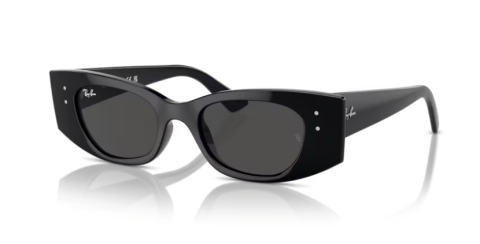ray ban rb 4427 667787 49 güneş gözlüğü
