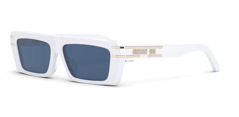 dior 40067u 21v güneş gözlüğü