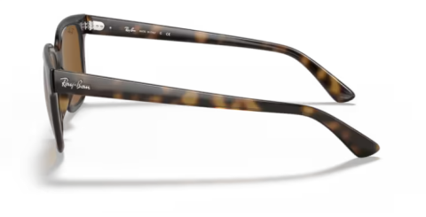 ray ban rb 4323 710/83 51 güneş gözlüğü