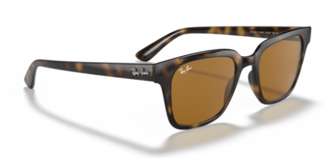 ray ban rb 4323 710/83 51 güneş gözlüğü