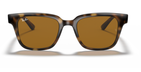 ray ban rb 4323 710/83 51 güneş gözlüğü