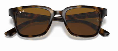 ray ban rb 4323 710/83 51 güneş gözlüğü
