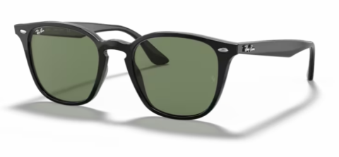 ray ban rb 4258 601/71 50 güneş gözlüğü