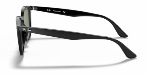 ray ban rb 4258 601/71 50 güneş gözlüğü