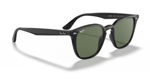 ray ban rb 4258 601/71 50 güneş gözlüğü