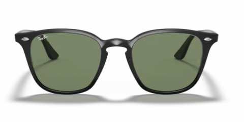 ray ban rb 4258 601/71 50 güneş gözlüğü