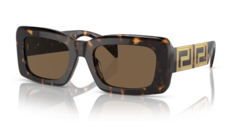 versace ve 4444u 108/73 güneş gözlüğü